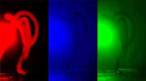 Figura 3 (b)luminanza .Raspredelenie di canali di colore: Rosso (R), Verde ((G)), Blu ((B)).